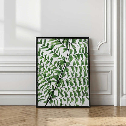 Delicate Green Fern