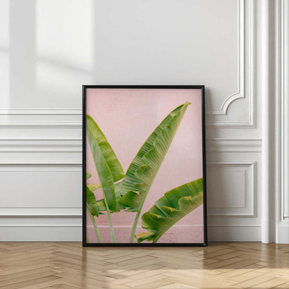 Merida Green on Pink