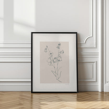 Bellflowers ink drawing