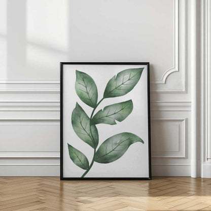 Fresh Green Botanical Leaves