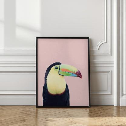 Toucan on Pink | Bird wall art