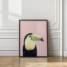 Load image into Gallery viewer, Toucan on Pink | Bird wall art
