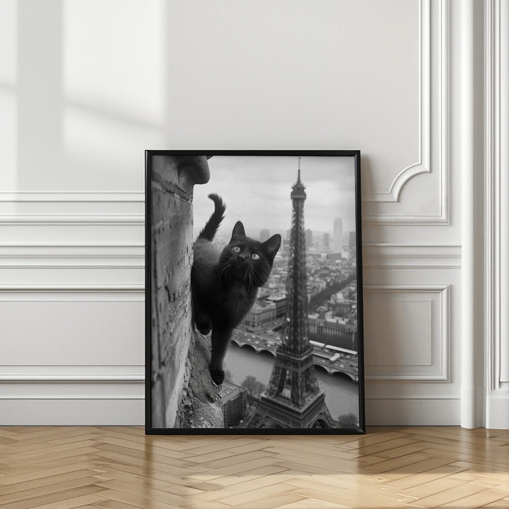 Kitty in Paris