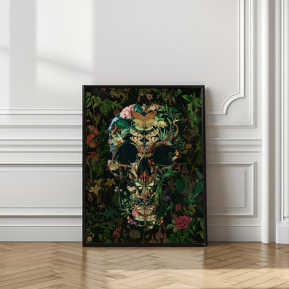 Papillon Skull