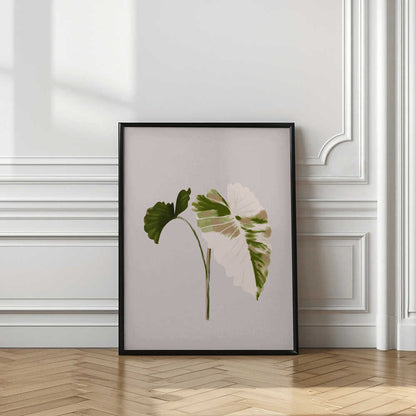 Filodentro Tropical Leaves