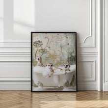 Load image into Gallery viewer, Meerkat Bubble Bath
