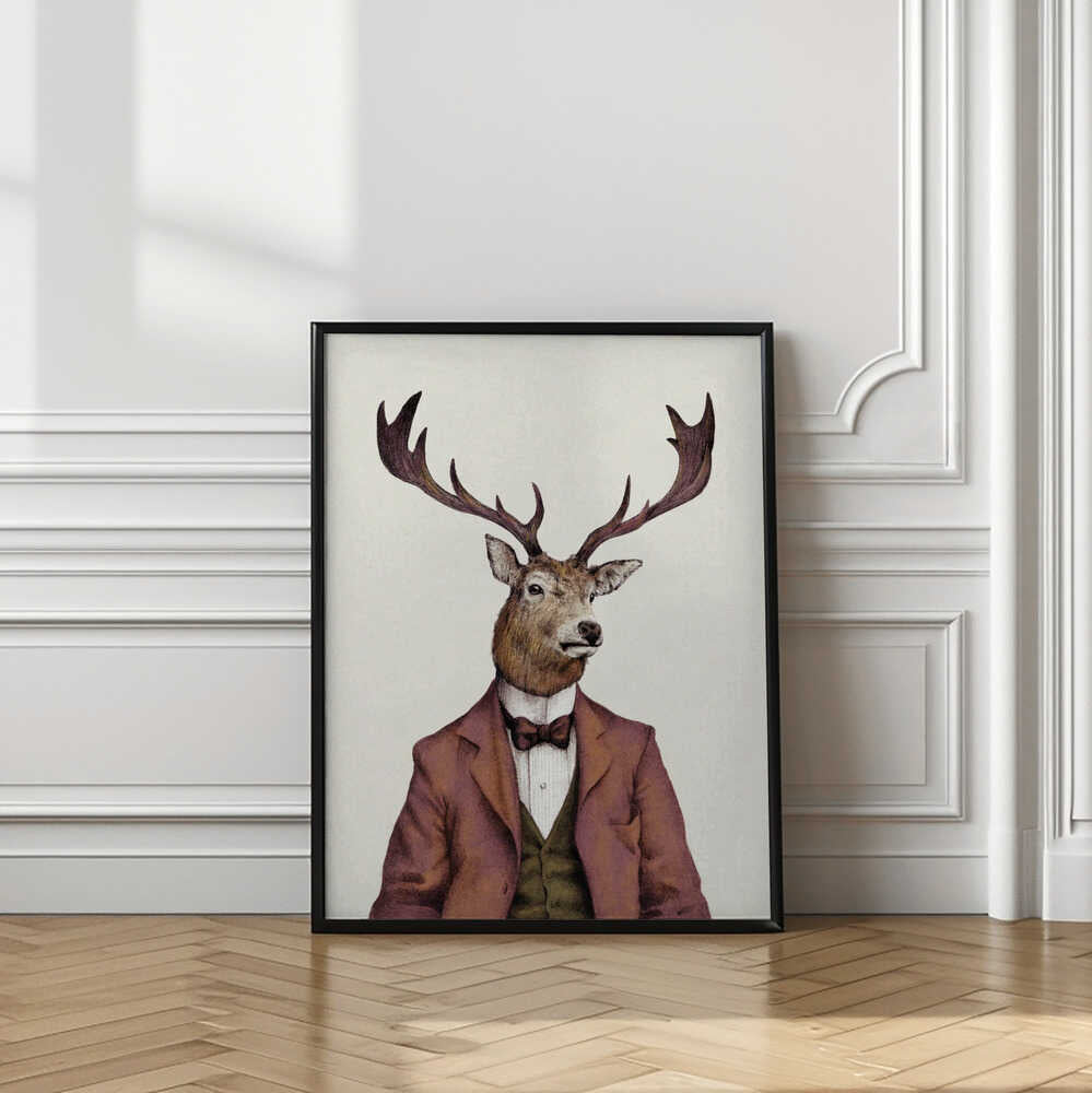 A deer With Human Attire—wearing