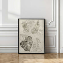 Load image into Gallery viewer, Pencil Sketches Of Various Plant Leaves
