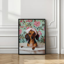 Load image into Gallery viewer, Bath Time Dachshund
