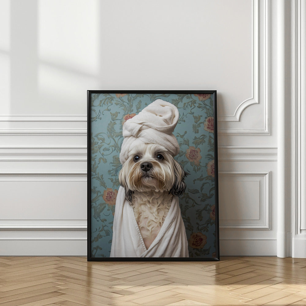 Spa Day Pooch