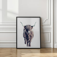 Load image into Gallery viewer, Highland Cattle Colin White
