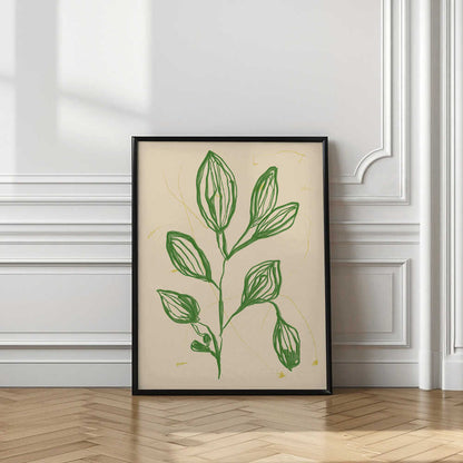 Delicate Botanical Study