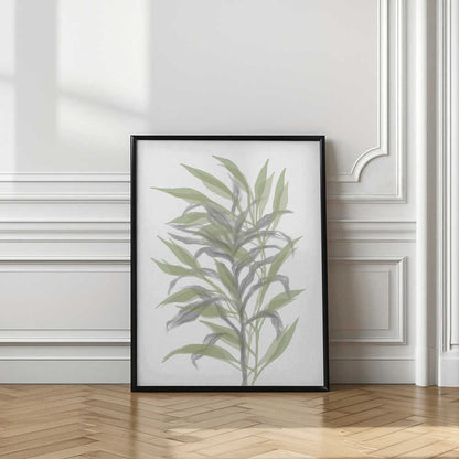 Soft Green Botanicals