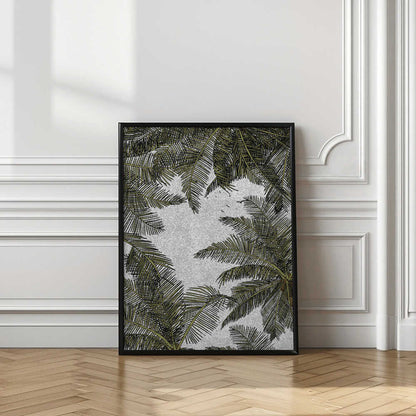 Tropical Palm Sky View