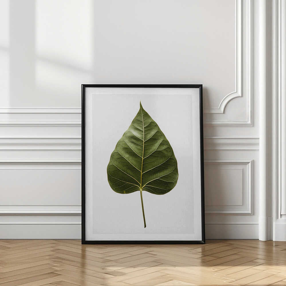 Green Leaf Detail