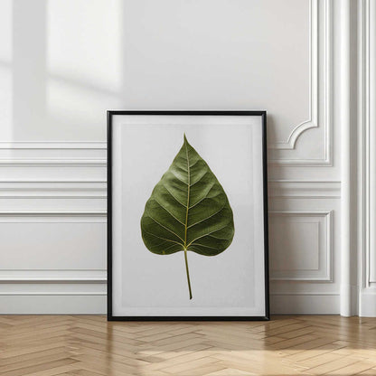 Green Leaf Detail