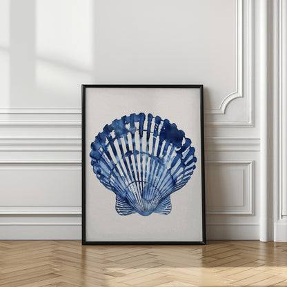 Indigo Seashell