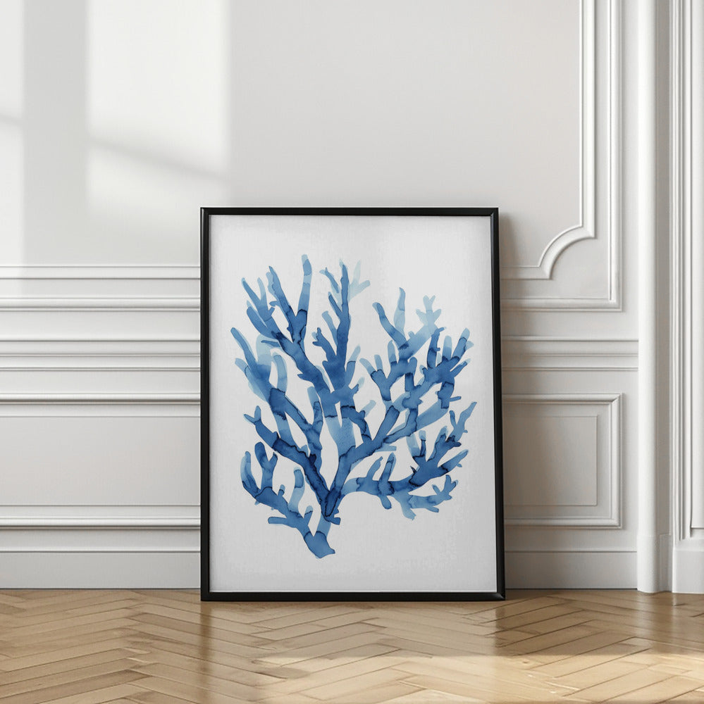 Indigo Reef Harmony