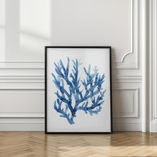 Load image into Gallery viewer, Indigo Reef Harmony
