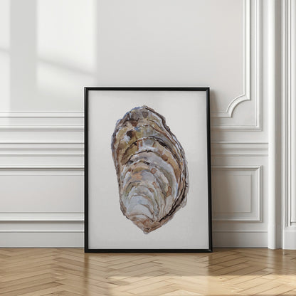 Oyster's Elegance