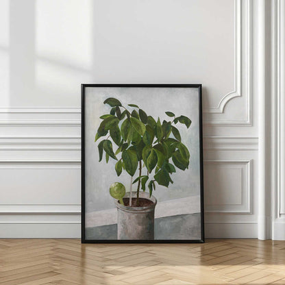 Still Life Potted Plant