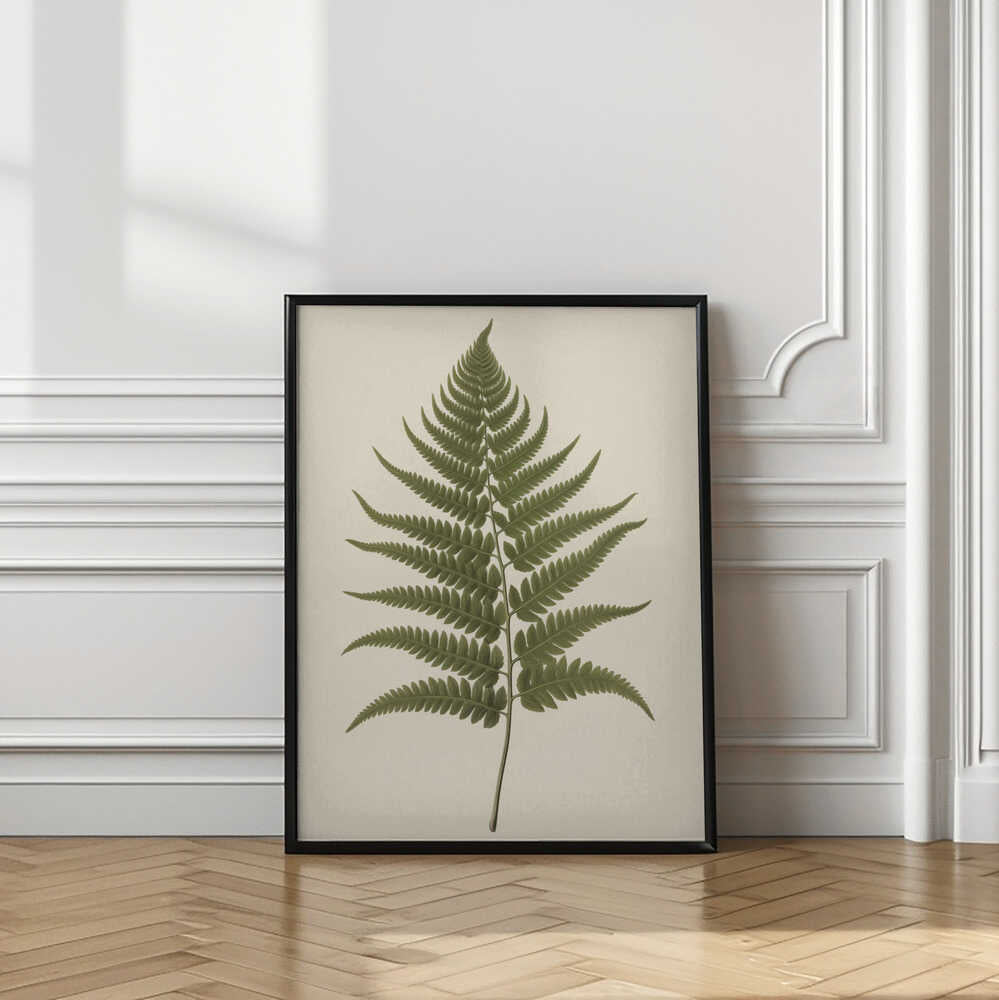 Elegant Fern Botanical