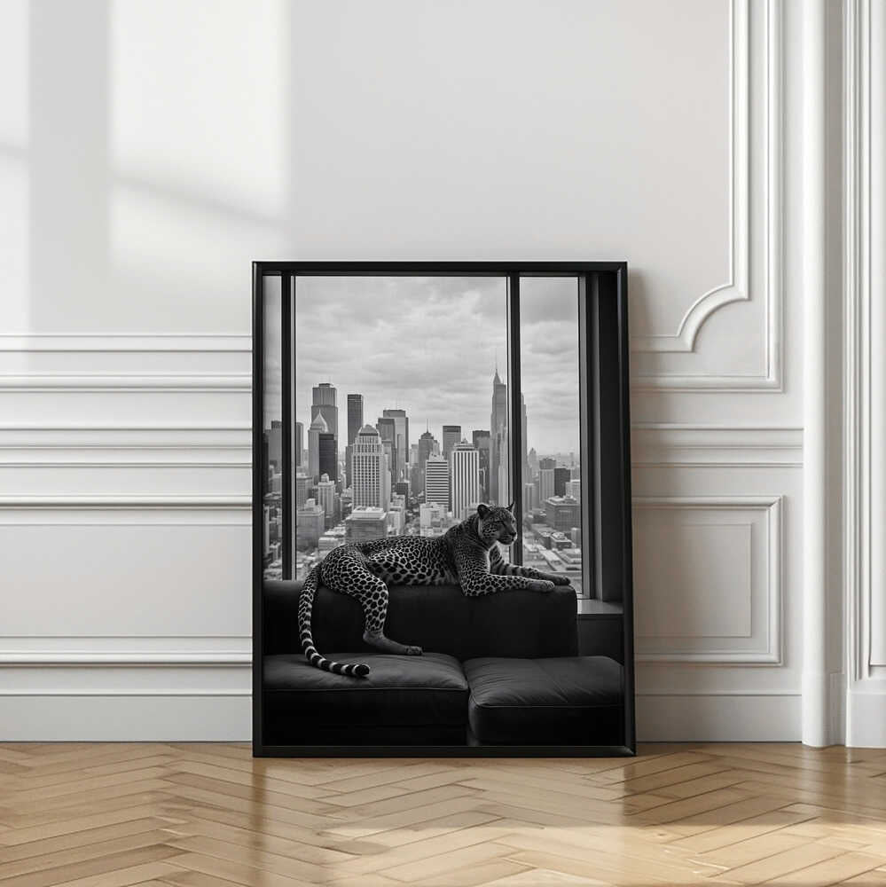Conceptual Photography
