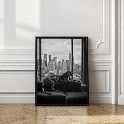 Conceptual Photography