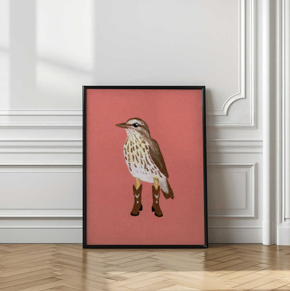 Northern Waterthrush