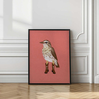 Northern Waterthrush