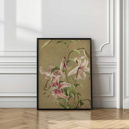 Japan Lily By Ellen Thayer Fisher