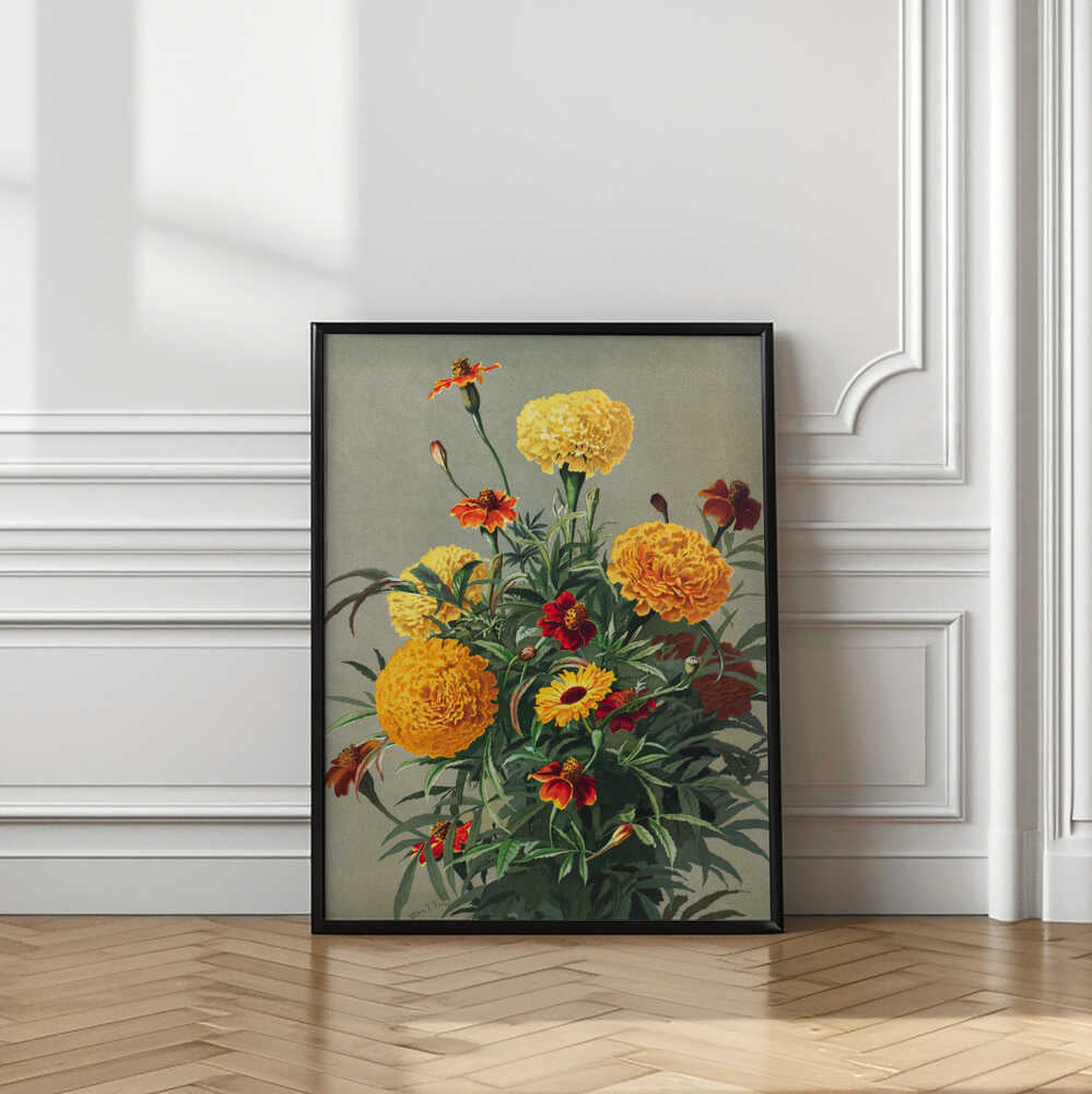 Marigolds