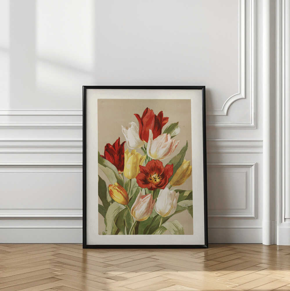 Tulips By Ellen Thayer Fisher