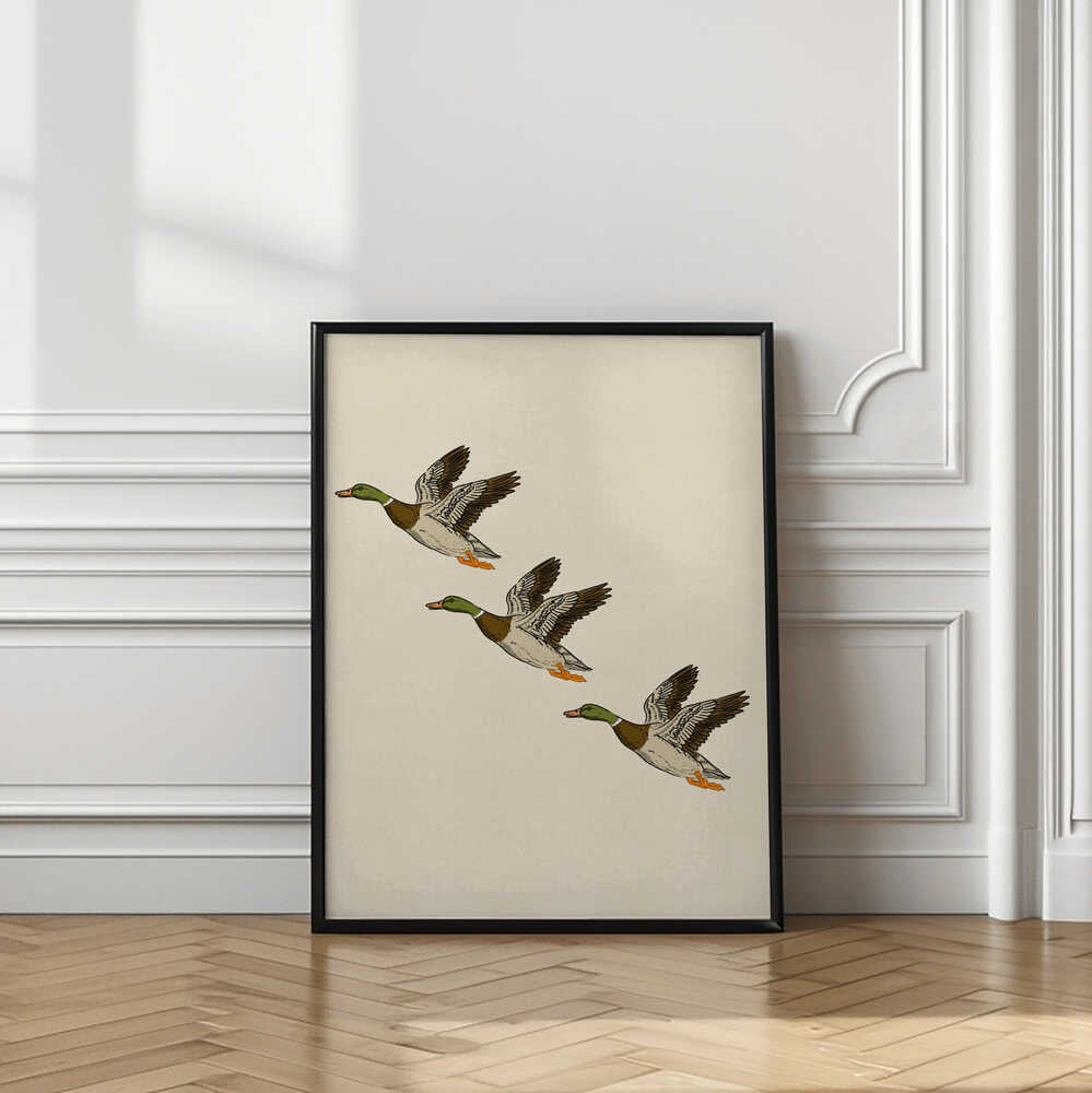 Mallards in Flight