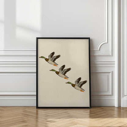 Mallards in Flight