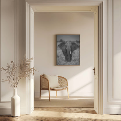 SINGULARITY | Elephant wall art