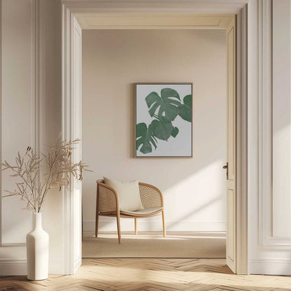 Monstera Aqua 01