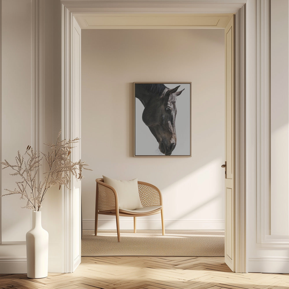 Gentle Equine Gaze | Horse wall art
