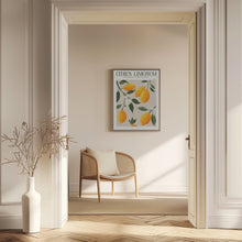 Load image into Gallery viewer, Citrus Limonum - Lemon

