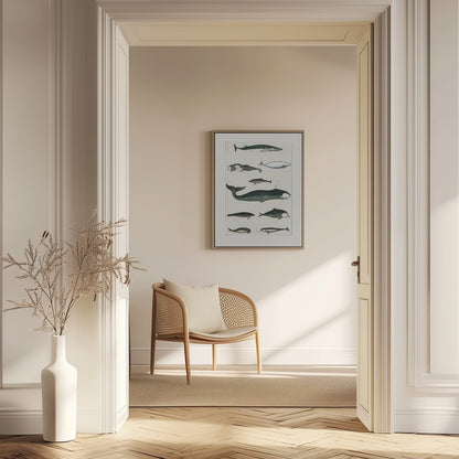 Vintage Whale Poster