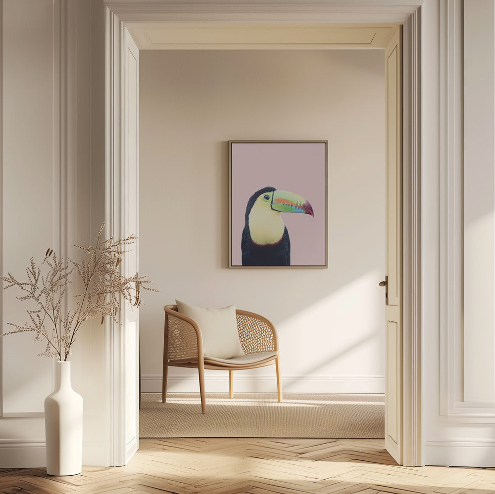 Toucan on Pink | Bird wall art