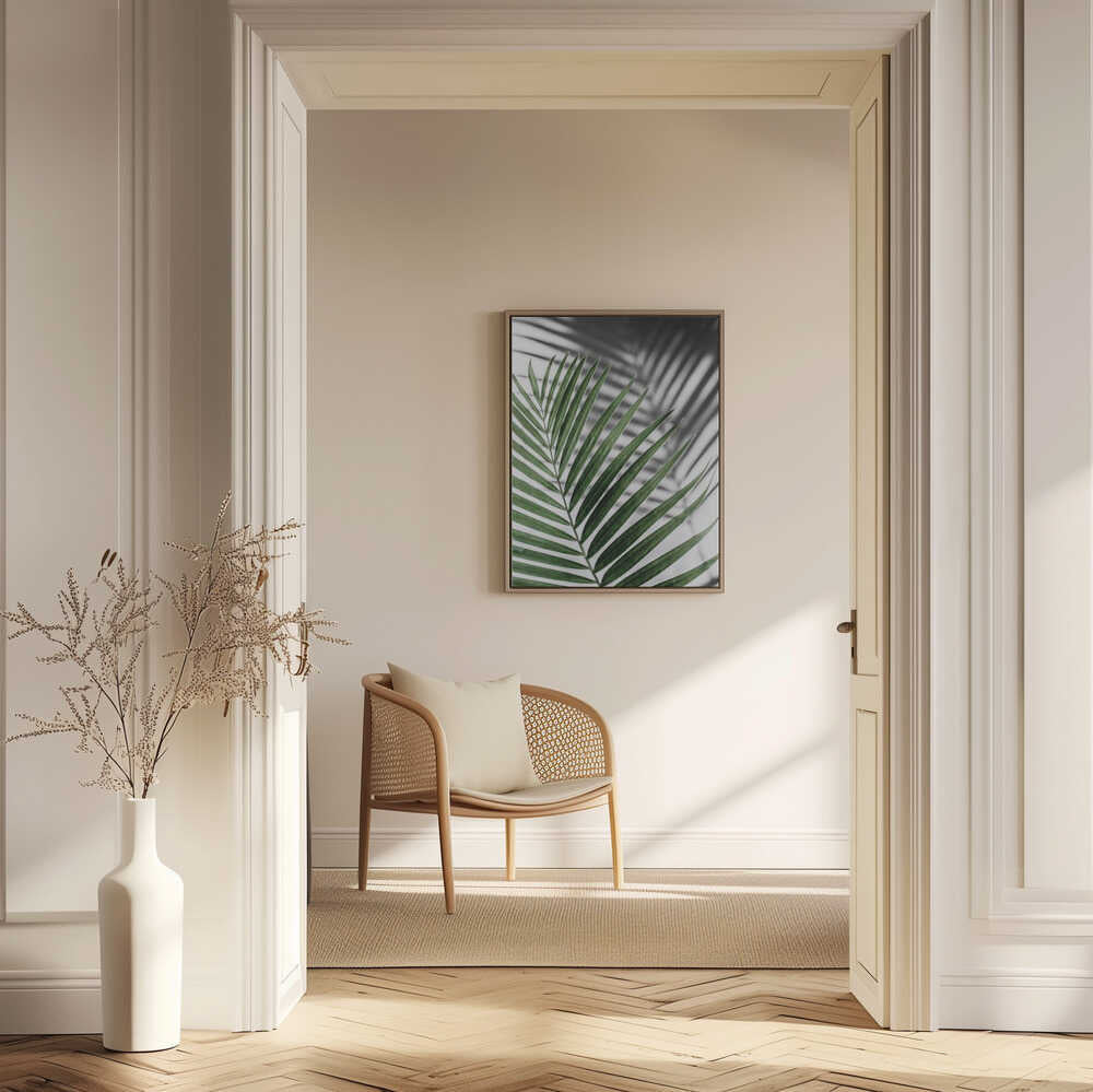 Green Palm Shadow