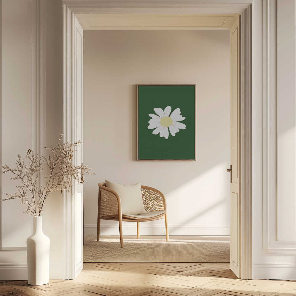White Daisy Bloom