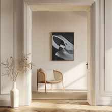 Load image into Gallery viewer, Elegance in Shadow
