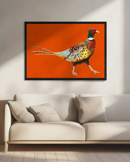 Colorful Walking Pheasant