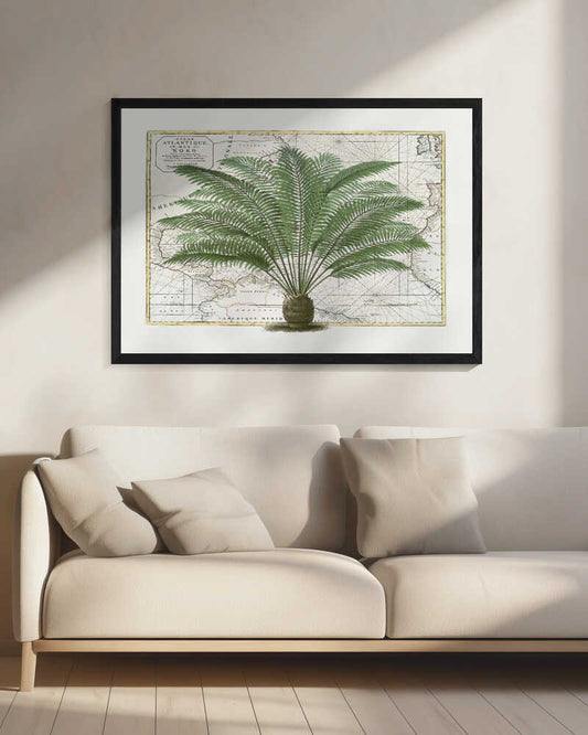 Vintage Palm Atlas