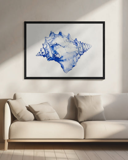 Blue Conch Harmony