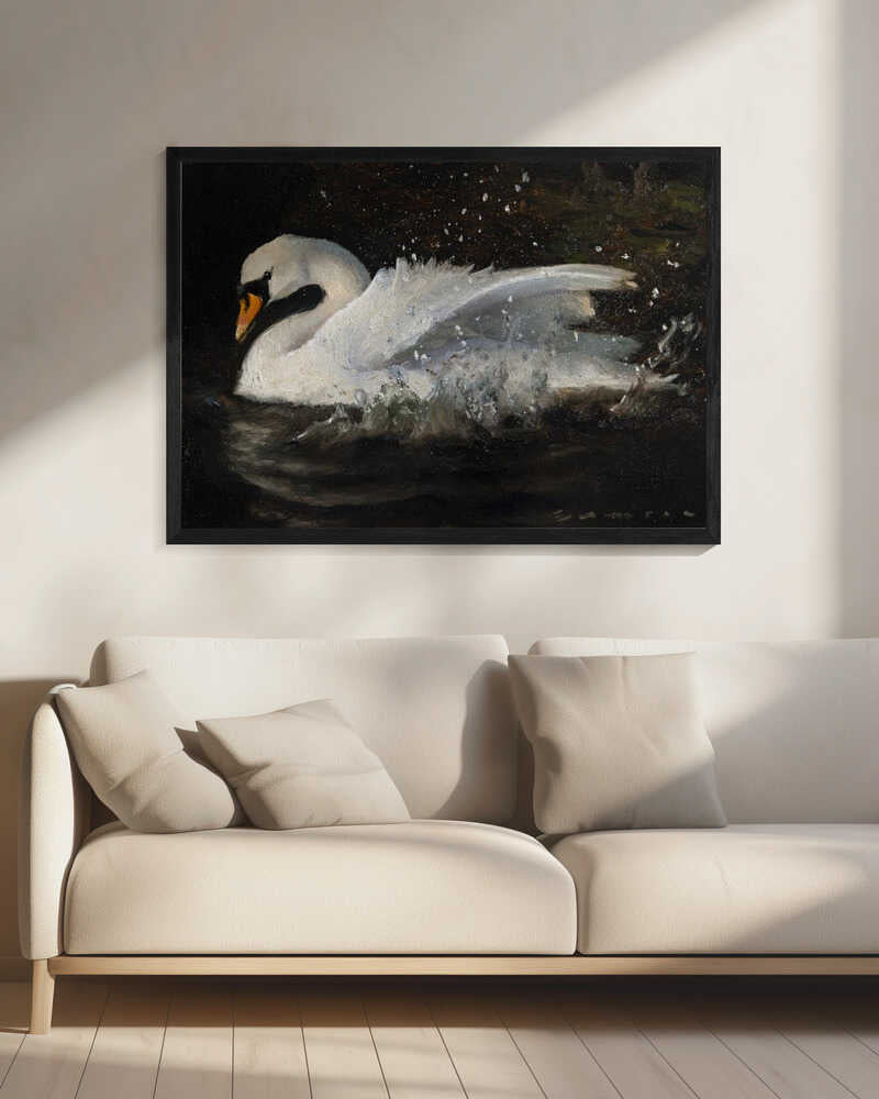 The Swan