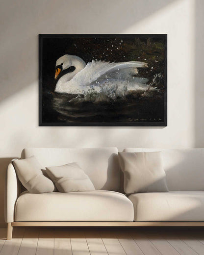The Swan