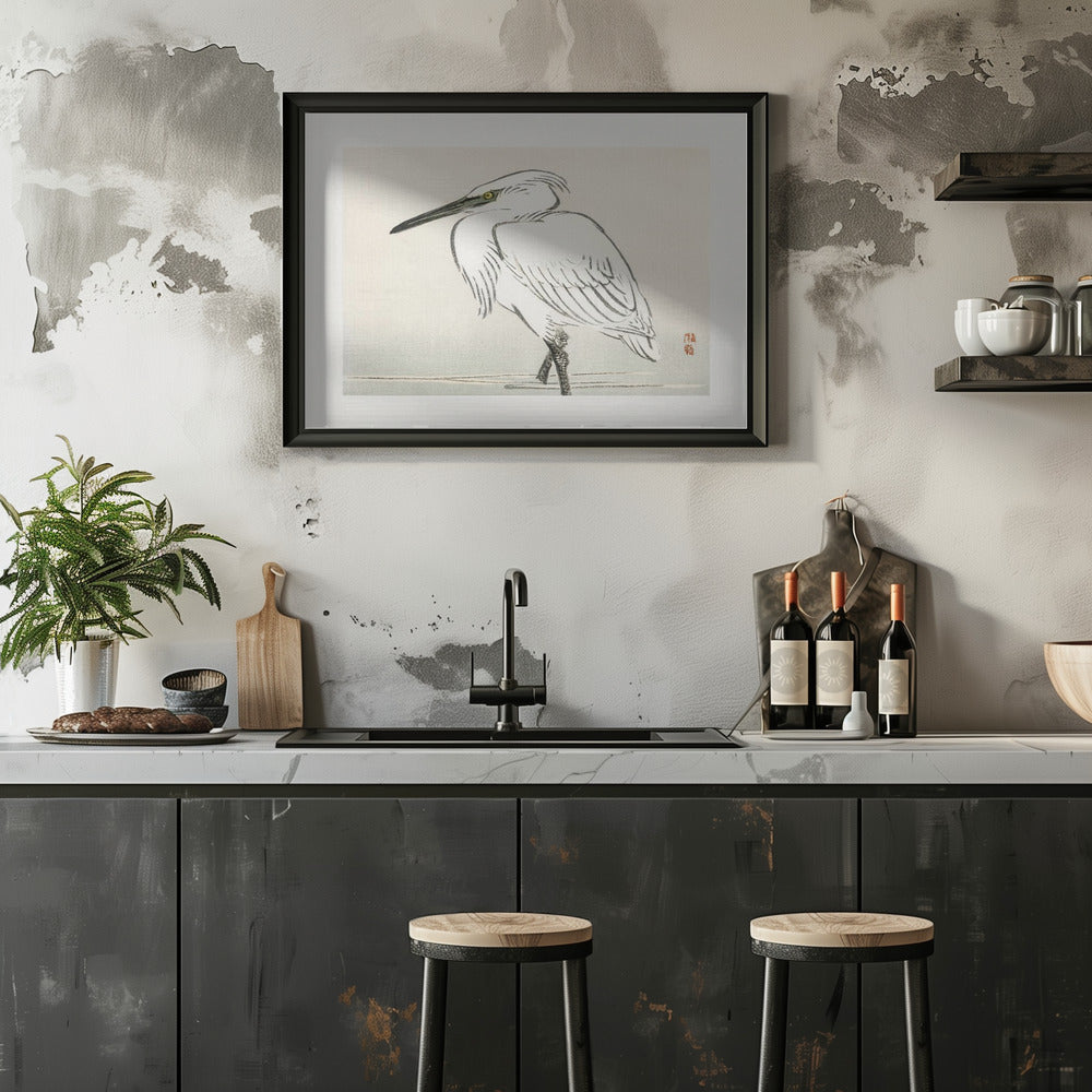 Snowy Egret